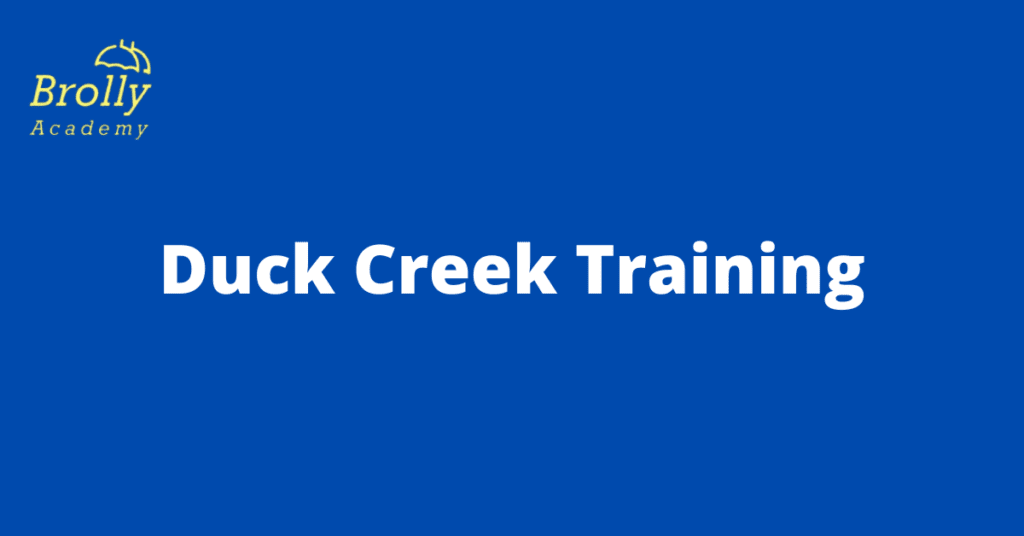 Duck Creek Training in hyderabad