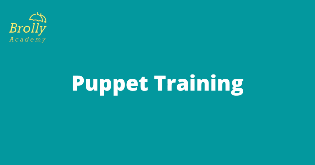 Puppet Training in Hyderabad Cover Pic