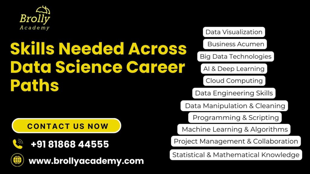 Data Science Career Paths