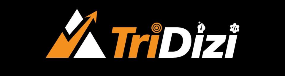 Tridizi-Digital Marketing with Ai Course in Hyderabad- AI in marketing Course in Hyderabad