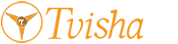 Tvisha-Digital Marketing with Ai Course in Hyderabad- AI Digital marketing Training in Hyderabad