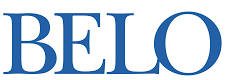 Belo SOC Analyst and Cyber Security Consulting Hyderabad
