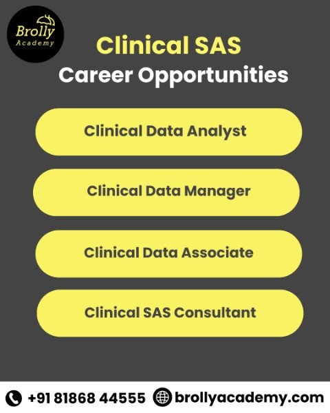 Clinical SAS training in Hyderabad-Career opportunities of Clinical SAS
