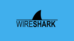 Embedded Systems Training in Hyderabad - Wireshark (for network protocol analysis)
