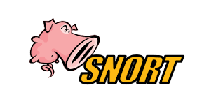 SOC Analyst Training in Hyderabad-Snort