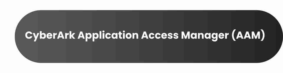 CyberArk Password Vault Web Access (PVWA) (1)