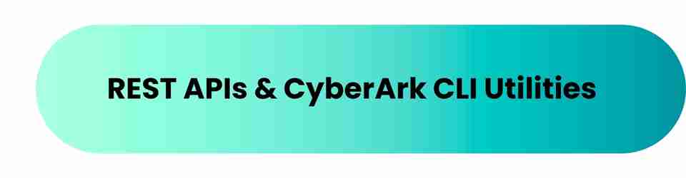 CyberArk Password Vault Web Access (PVWA) (3)