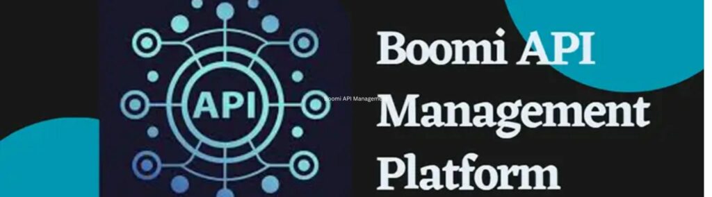 Dell Boomi Training in Hyderabad-Boomi API Management tool