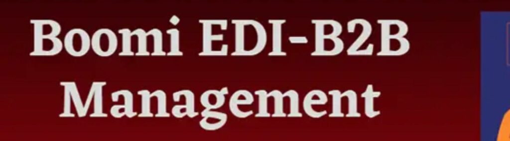 Dell Boomi Training in Hyderabad-Boomi B2BEDI Management tool