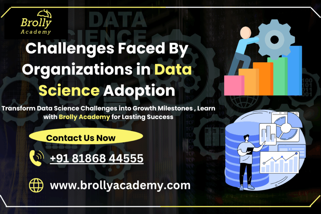 Disadvantages Of Data Science