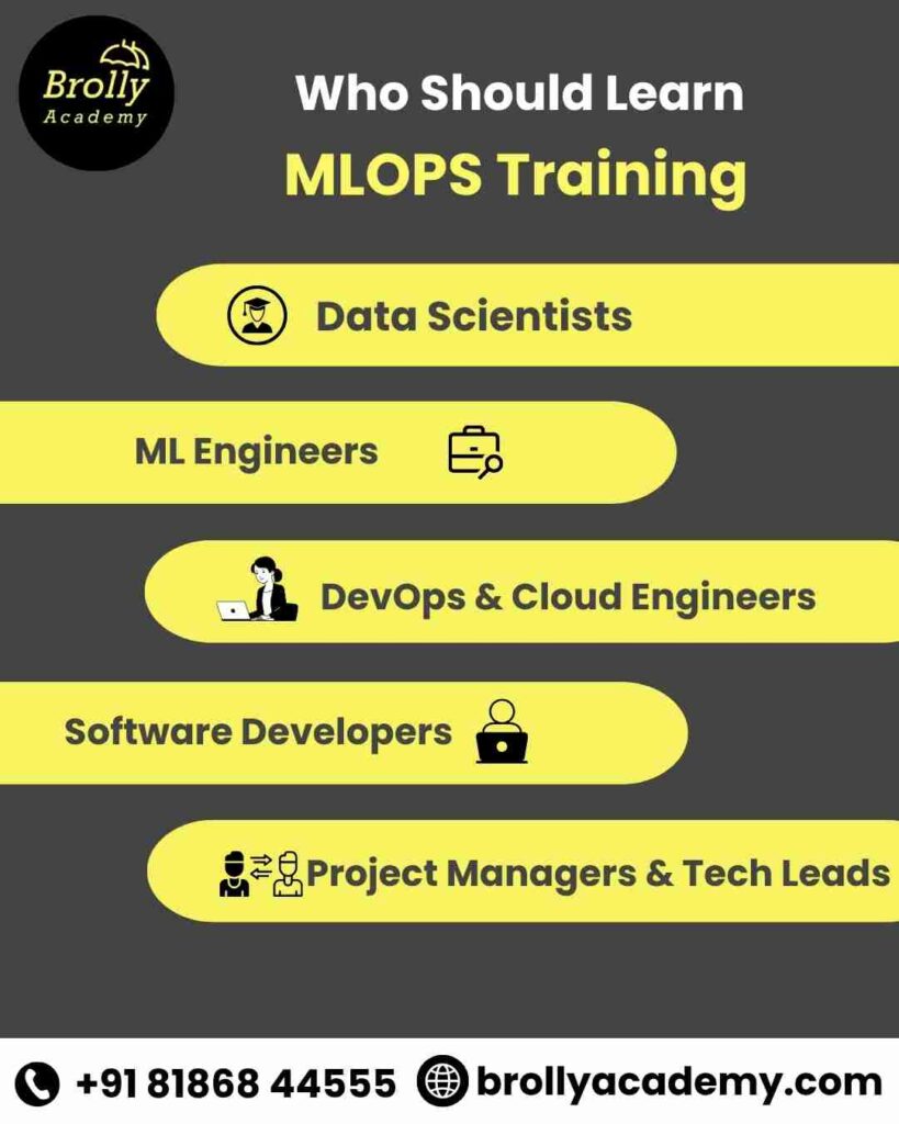 MLOPS Training In Hyderabad - Who Should Learn