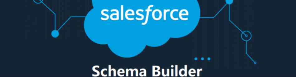 Salesforce Training in Hyderabad- Schema Builder tool