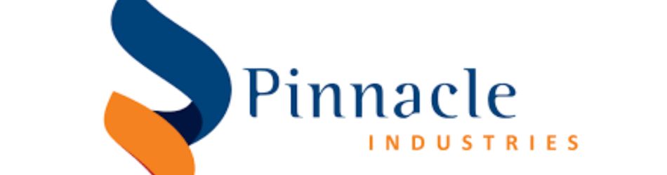 video editing training in Hyderabad-pinnacle company