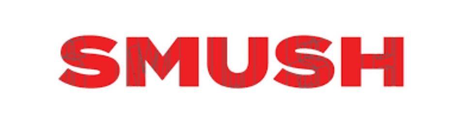 Wordpress Training In Hyderabad - Smush Image Optimisation Tool