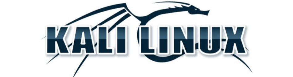 Kali Linux Primary penetration testing operating system - Brolly Academy