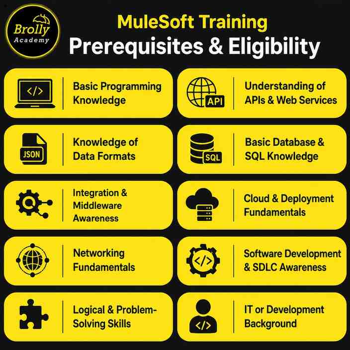 MuleSoft training prerequisites overview
