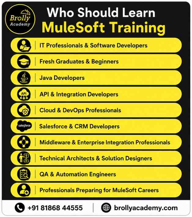 Who should learn Mulesoft training